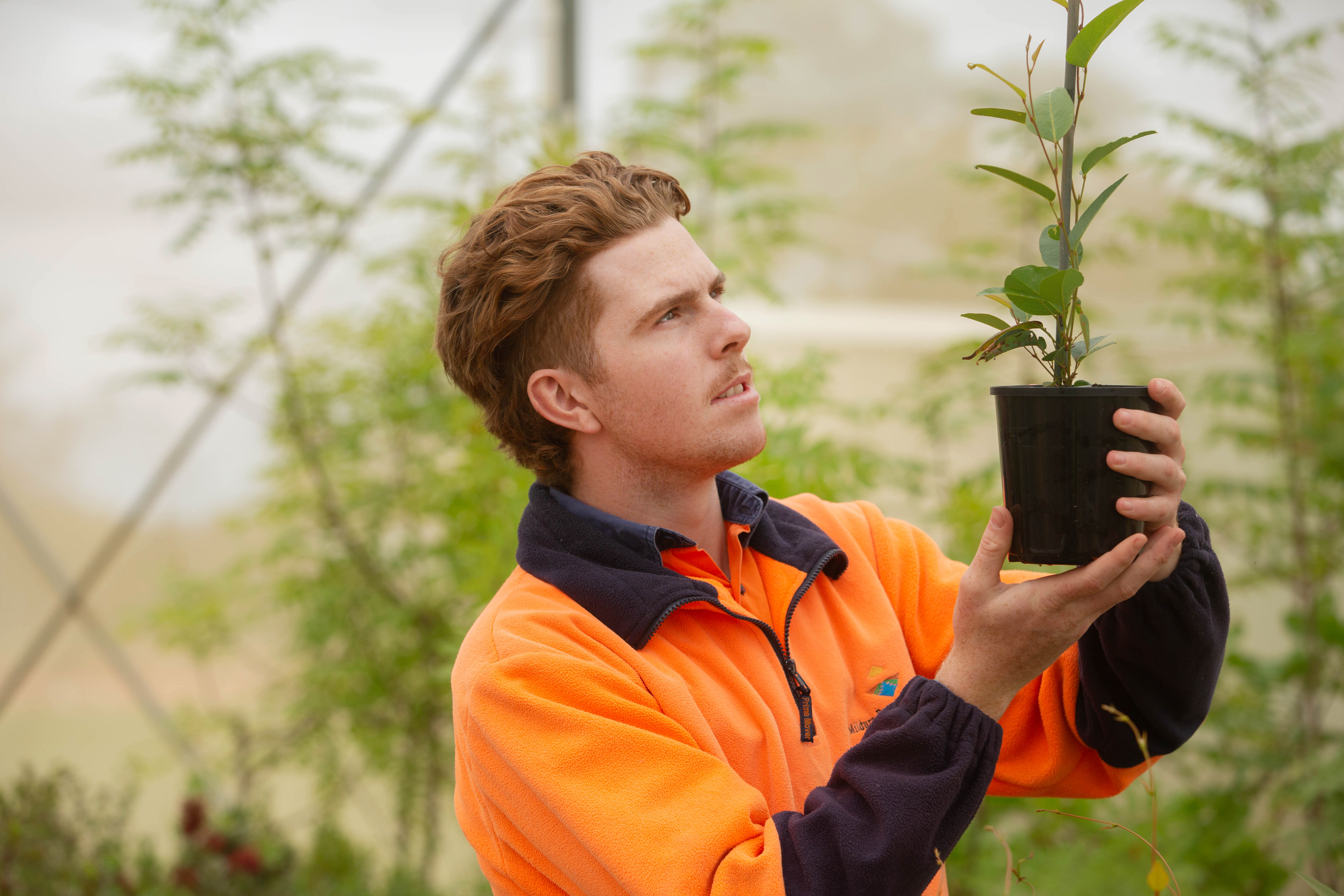  Growing a More Sustainable Agricultural Workforce with SuniTAFE’s New Protected Horticulture Course
