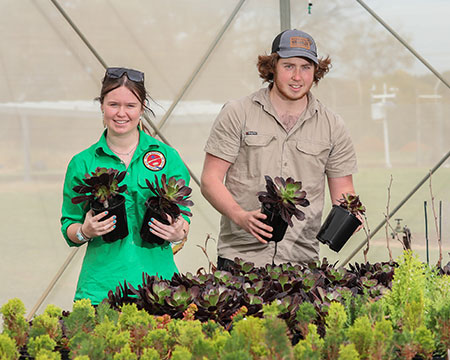 SuniTAFE_SMART_Farm_Students_Plants_450x360.jpg SuniTAFE_SMART_Farm_Students_Plants_450x360.jpg