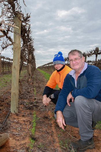 Cover Crop Trial at SuniTAFE Smart Farm Begins