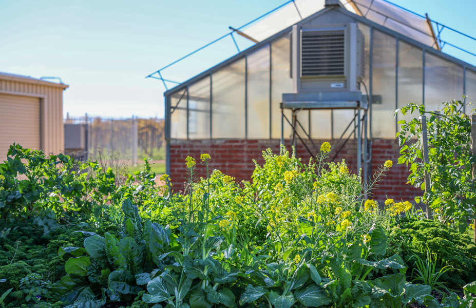 Farm Setting Exterior5