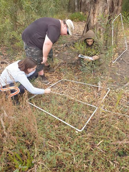 Photo-point-along-transect-Kings-billabong-woodland-understory