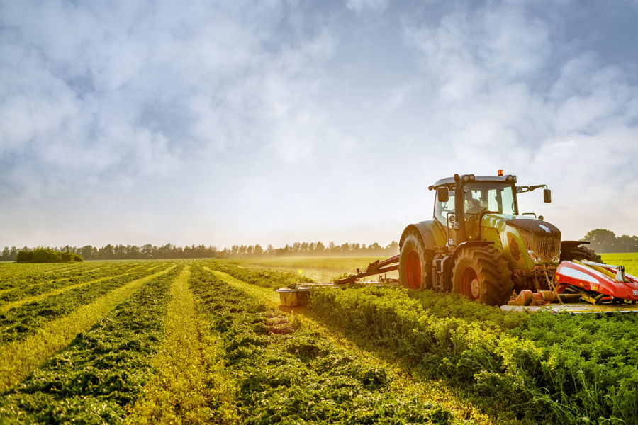 hay-making-for-animals-harvesting-green-grass-for-2026-03-24-02-23-51-utc.jpg