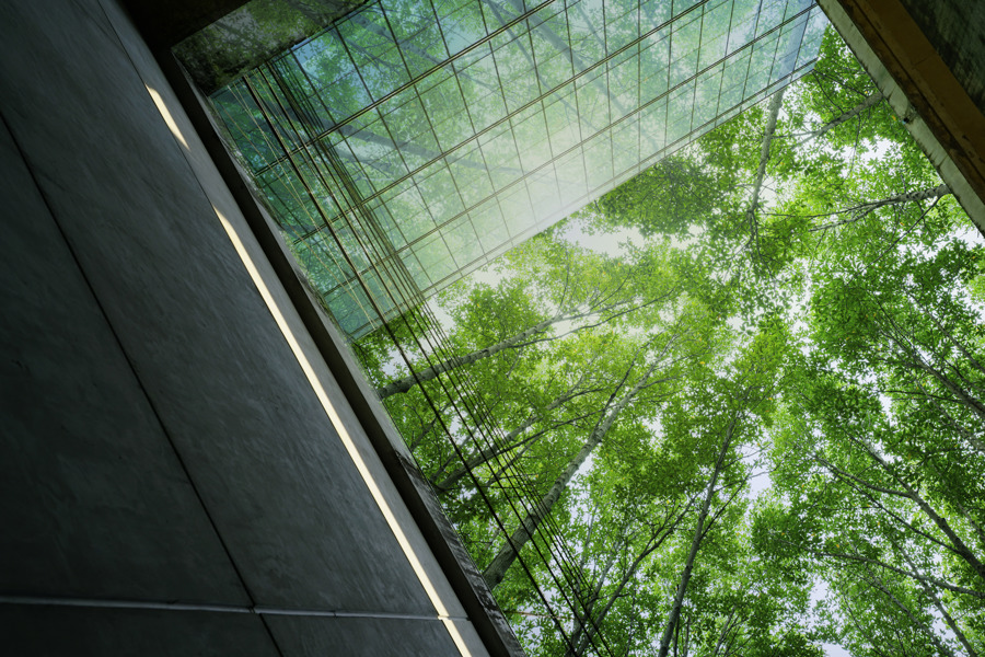 eco-friendly-building-in-modern-city-sustainable-2026-03-18-05-02-37-utc.jpg