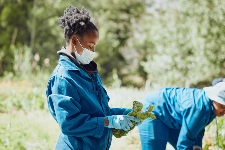adult-gardening-wearing-mask-on-farm-2026-03-25-02-49-15-utc.jpg
