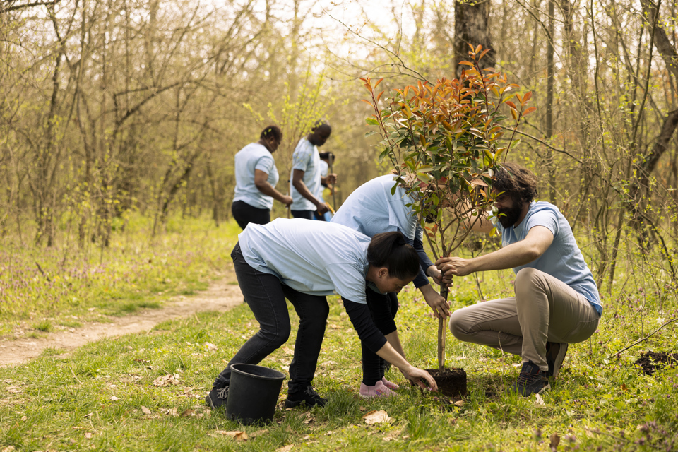 volunteers-planting-tree-together-on-green-grassy-2026-03-19-02-05-18-utc.jpg