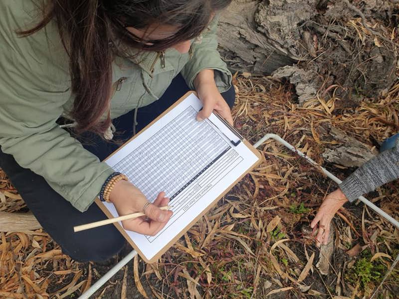 data-understory-students