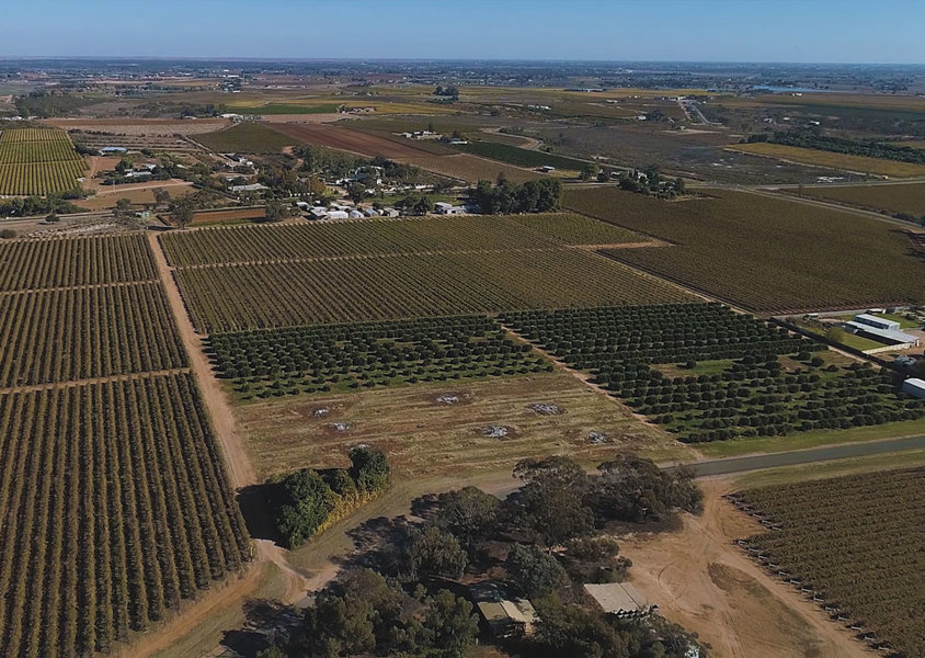 Sunitafe SMART Farm Mildura Cardross Sunraysia Robinvale Swan Hill 2