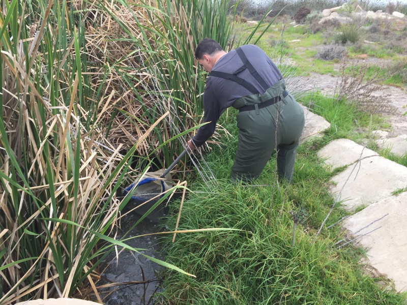 Water-way-sampling-dip-net-cumbungii